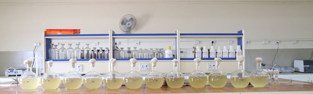 bio fertillzers